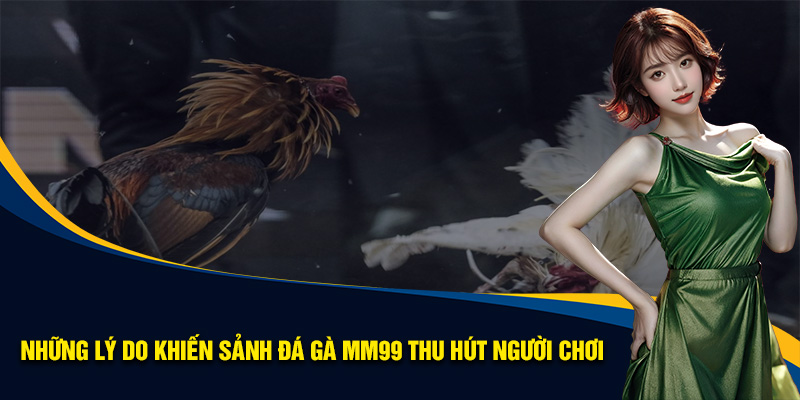 Các lý do khiến sân chơi đá gà MM99 thu hút đông đảo người chơi