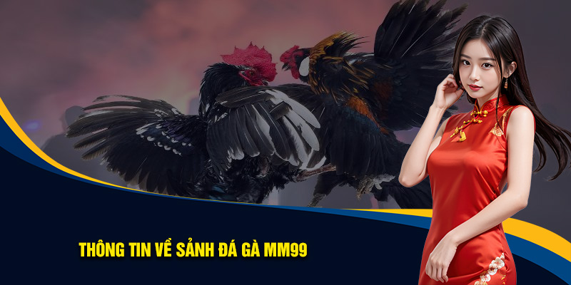 Thông tin về sảnh đá gà MM99