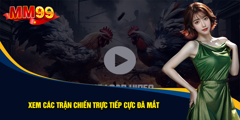 Xem các trận chiến trực tiếp cực đã mắt